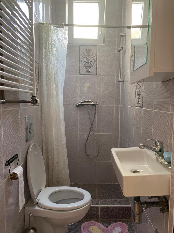Gala Daire Soko Banja Dış mekan fotoğraf