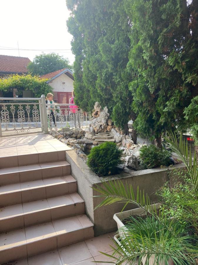 Gala Daire Soko Banja Dış mekan fotoğraf